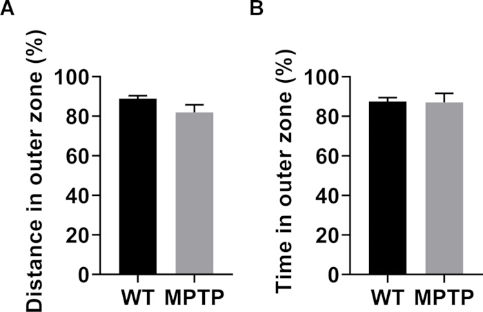 Bar graphs comparing WT and MPTP groups; distance and time in outer zone (%).