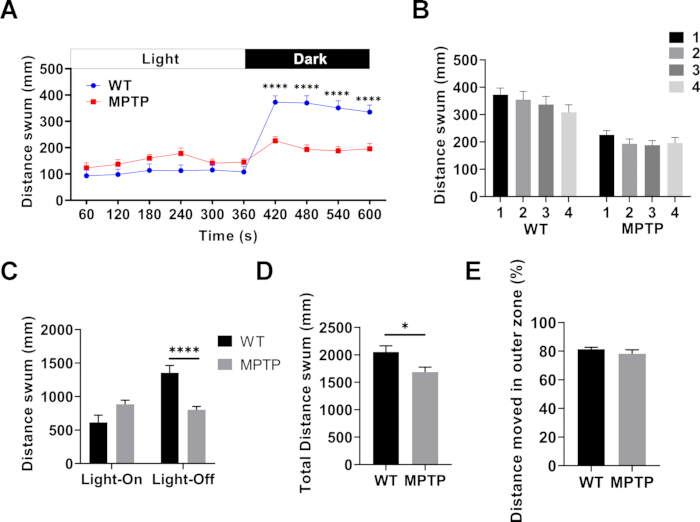 Swimming distance graphs; WT vs. MPTP in light/dark conditions; behavioral analysis results.
