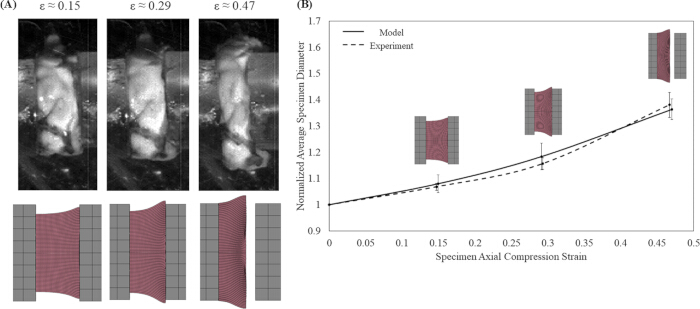 figure-results-4 figure-results-4