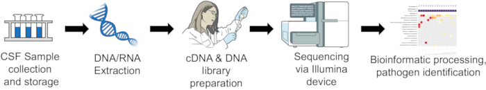 figure-protocol-1 CSF sequencing workflow: sample collection, DNA/RNA extraction, Illumina sequencing, pathogen ID.