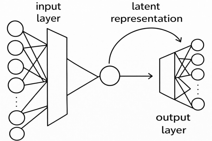 figure-results-4 Neural network diagram; input and output layers with latent representation, educational use.