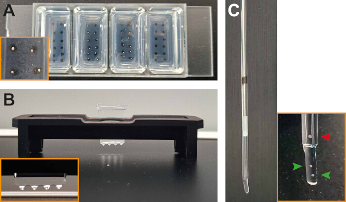 Microfluidic device and capillary tube for protein separation, experiment setup and analysis.