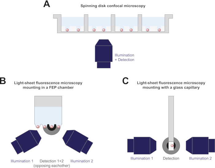 Spinning disk and light-sheet fluorescence microscopy setups, diagram for imaging techniques analysis.
