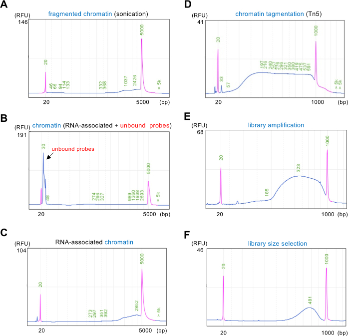 figure-results-3 Chromatin fragmentation and analysis diagrams, including sonication, tagmentation, and library prep.
