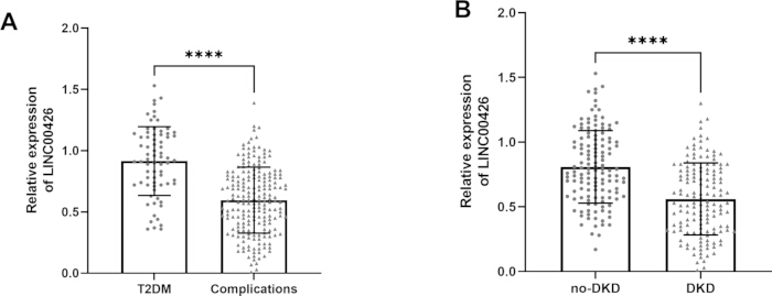 figure-results-2 Bar chart; LINC00426 expression in T2DM, DKD; significant differences; experimental result.