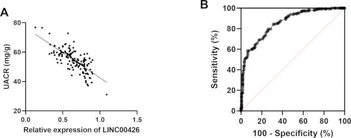 figure-results-3 Graph of UACR vs LINC00426 expression and ROC curve, indicating sensitivity and specificity analysis.