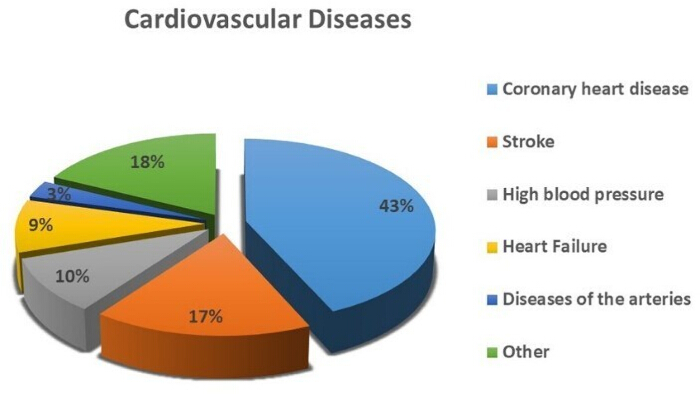 figure-introduction-1 Cardiovascular diseases pie chart; coronary heart disease 43%, stroke 17%, others varied.
