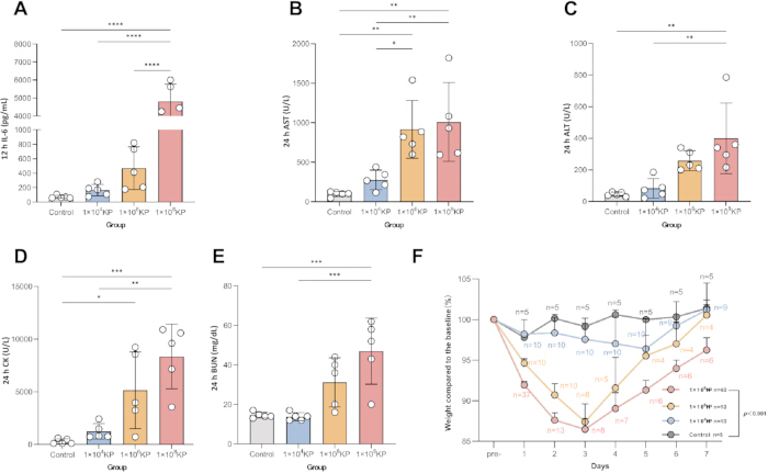 figure-results-2 Bar and line graph comparing liver and kidney function markers: ALT, AST, CK, BUN, weight change.