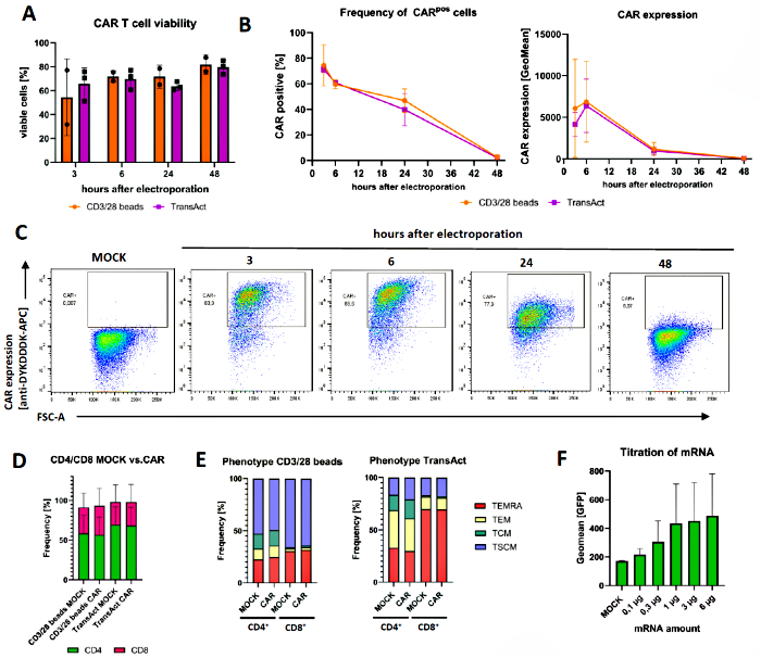 CAR T cell viability and frequency post-electroporation; flow cytometry data analysis, mRNA titration.