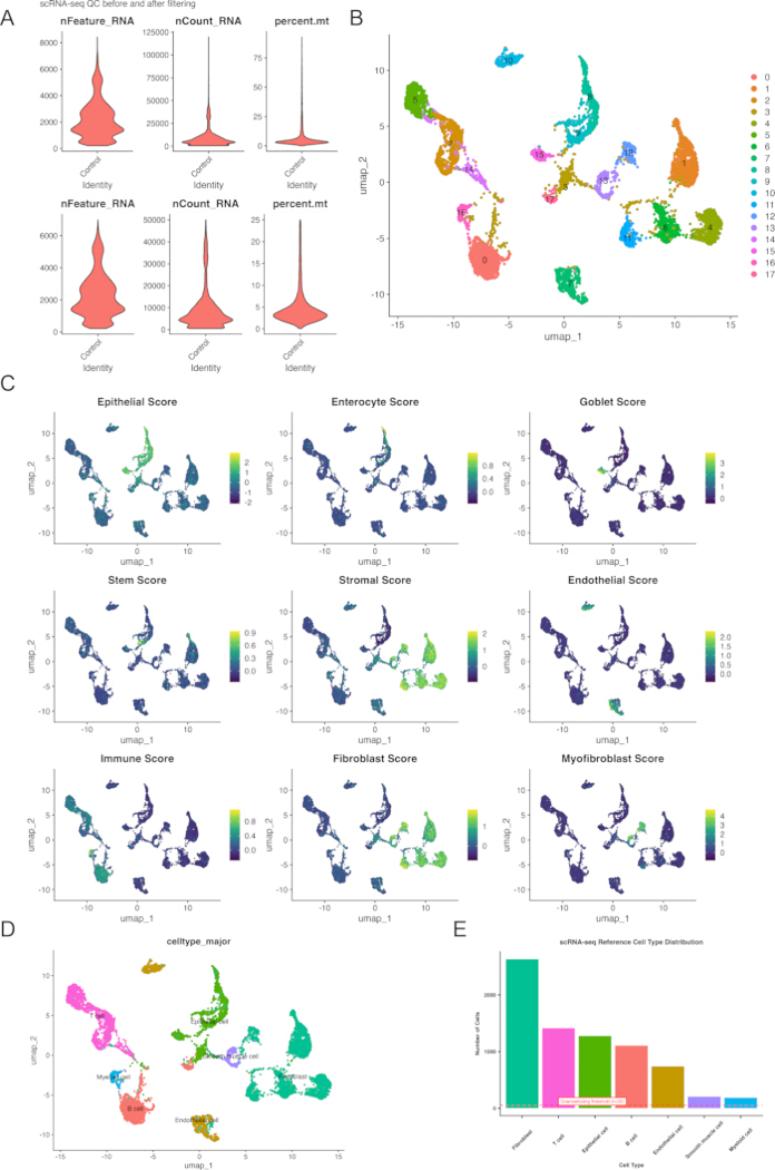 figure-results-3 scRNA-seq analysis: violin plots, UMAP clusters, cell type scores, and bar chart distribution.