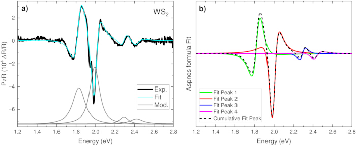 Transient absorption spectra, WS₂, graph showing experimental vs. fit/model data, energy (eV) analysis.