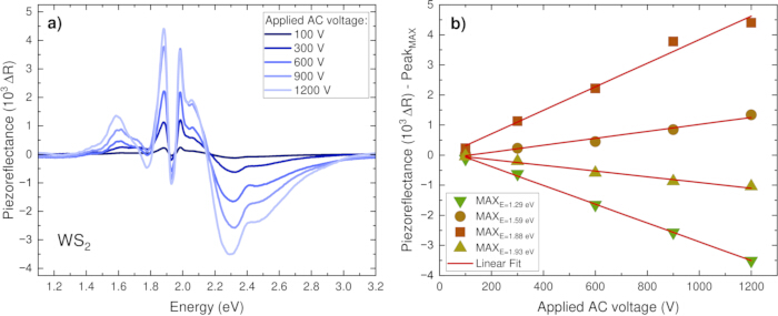 Piezoelectric analysis, WS2 absorption; spectroscopy results, voltage-dependent reflectance, data plot.