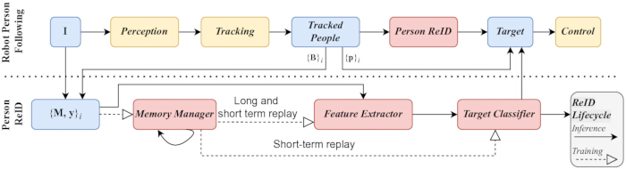 Robust person re-identification workflow diagram with memory management and feature extraction process.