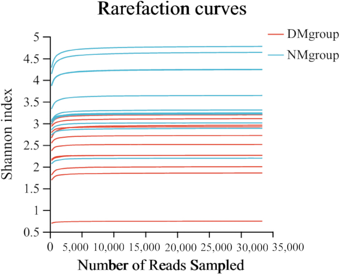 figure-results-1 Rarefaction curves graph; Shannon index vs. reads; diversity comparison DMgroup vs. NMgroup.