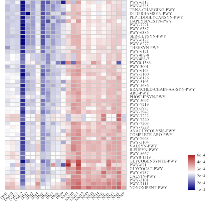 figure-results-10 Heatmap diagram; gene expression analysis; color scale 1e4-6e4; pathway comparison across samples.