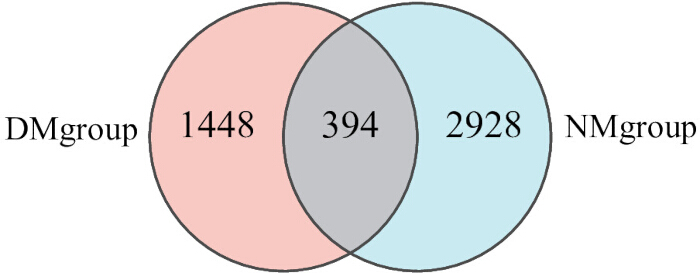 figure-results-3 Venn diagram comparing DM group and NM group data overlap: 1448, 394 shared, 2928 exclusive.