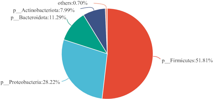 figure-results-4 Bacterial composition pie chart; Firmicutes, Proteobacteria, Bacteroidota data analysis.