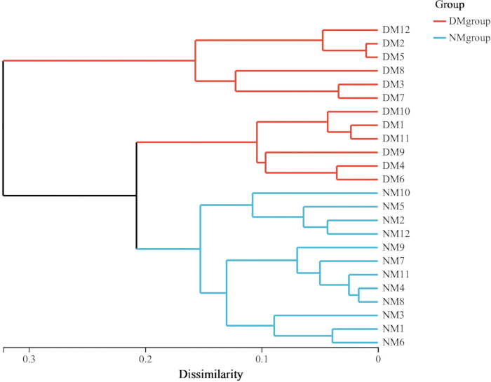 figure-results-5 Dendrogram of hierarchical clustering; groups DM, NM; visualizes sample dissimilarity data.