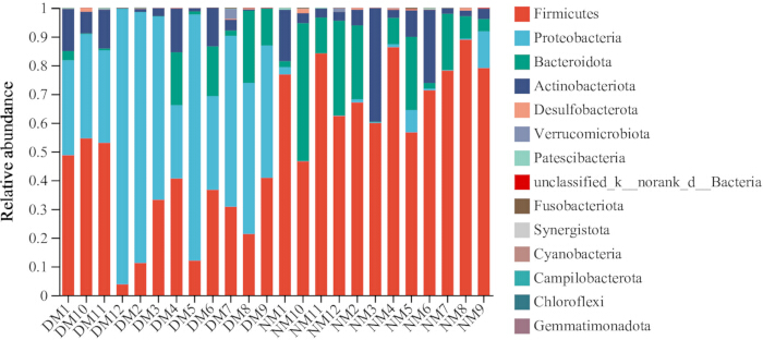 figure-results-6 Microbial diversity; relative abundance bar chart; Firmicutes, Proteobacteria, Bacteroidota data.