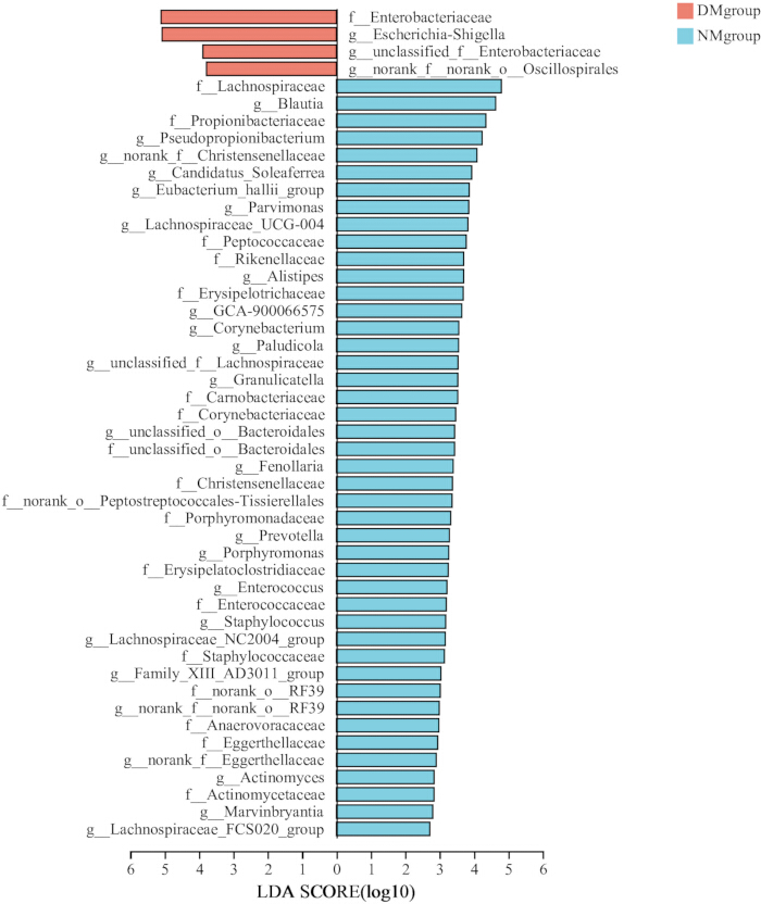 figure-results-7 Microbiome comparative analysis bar chart, LDA scores, DM vs NM groups, taxonomic distribution.