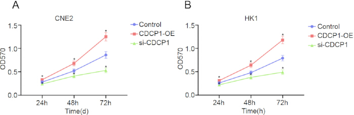 Cell growth analysis; graph shows OD570 vs. time for CNE2 and HK1 with CDCP1 variants.