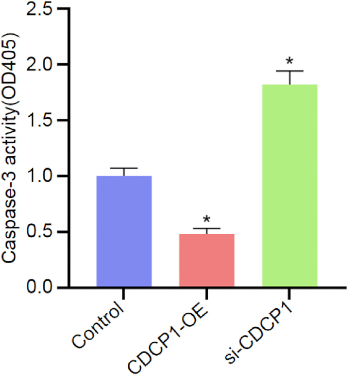 Caspase-3 activity analysis; bar graph; control, CDCP1-OE, si-CDCP1 treatment results.