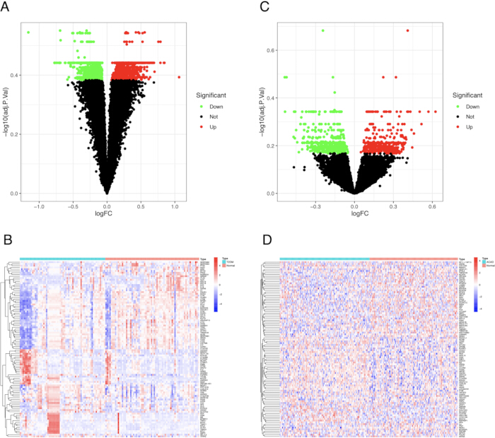 figure-results-1 Gene expression analysis: Volcano plots and heatmaps showing differential expression in RNA sequencing.