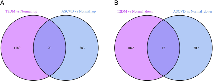 figure-results-2 Venn diagram showing gene expression overlap in T2DM vs ASCVD for up/down-regulated genes.