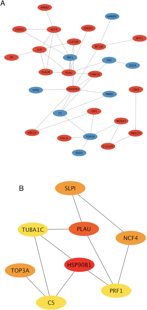 figure-results-4 Protein interaction network diagrams showing gene relationships; visual data analysis, network mapping.