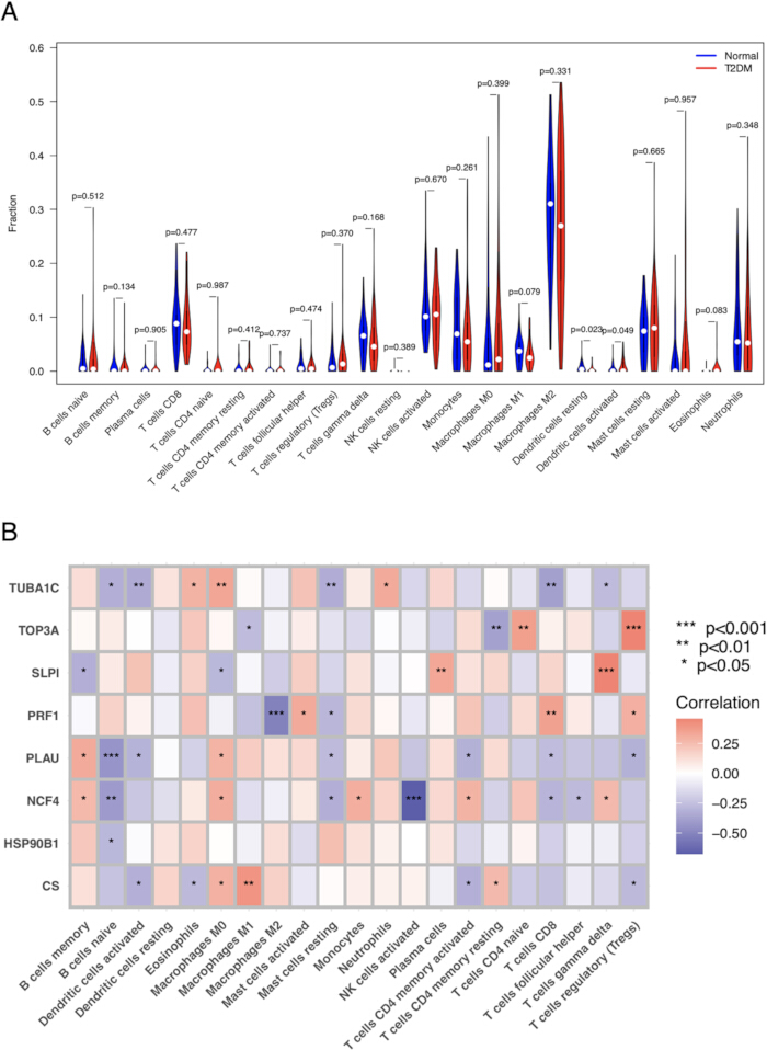 figure-results-5 Violin and heatmap comparison of immune cell types with p-values in T2DM vs normal conditions.