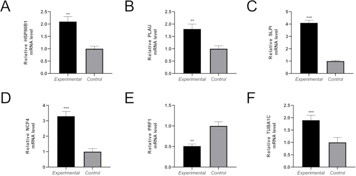 figure-results-7 Bar charts comparing relative mRNA levels in experimental vs control groups; gene expression analysis.