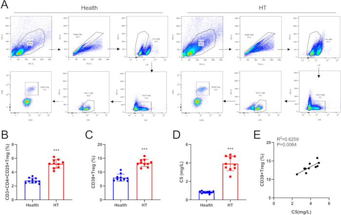 figure-results-4 Flow cytometry analysis diagram and bar graphs comparing health vs HT; CD39+ Treg percentages, C5 levels.
