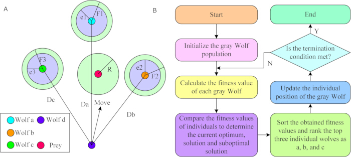 Gray Wolf Optimization diagram; process flowchart and symbolic representation of algorithm steps.