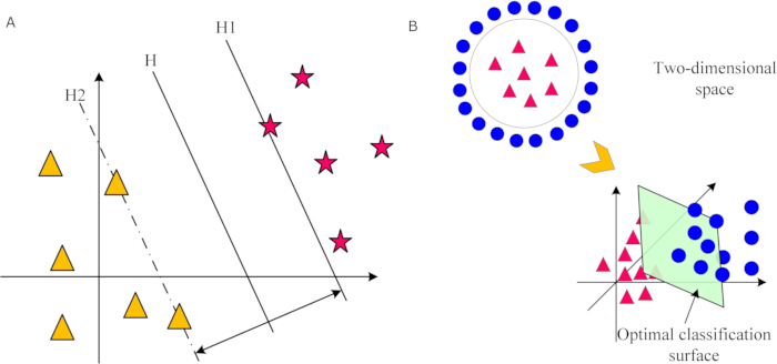 Support Vector Machine diagram illustrating classification in two-dimensional space; optimal surface.