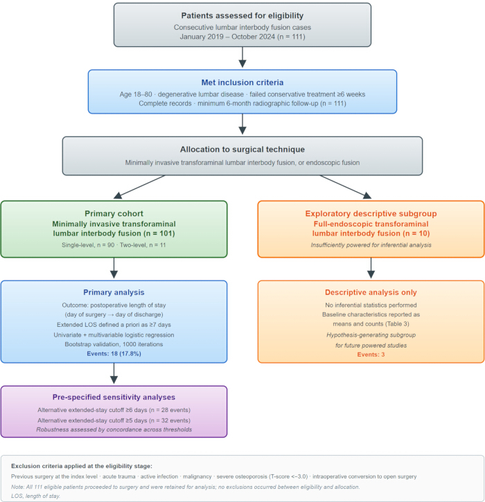 Flowchart of lumbar fusion study; inclusion criteria, surgical techniques, analysis methods.