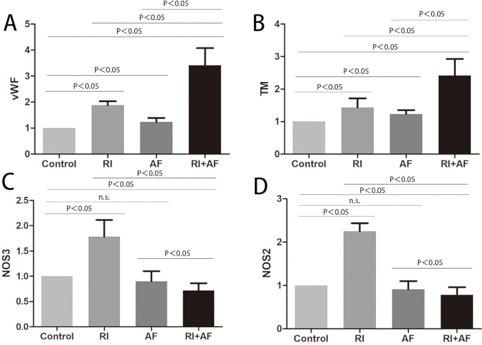 figure-results-5 Bar chart analysis of protein expression; VWF, TM, NOS3, NOS2; significance levels; experiment.