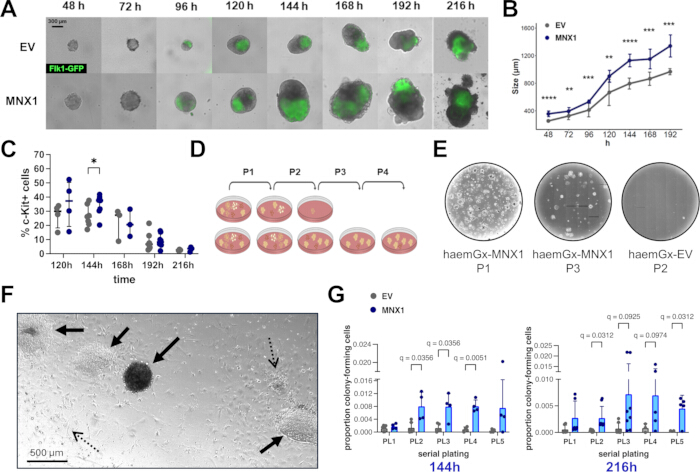 figure-results-1 Cell culture experiment showing Flk1-GFP expression; includes growth charts and plating results.