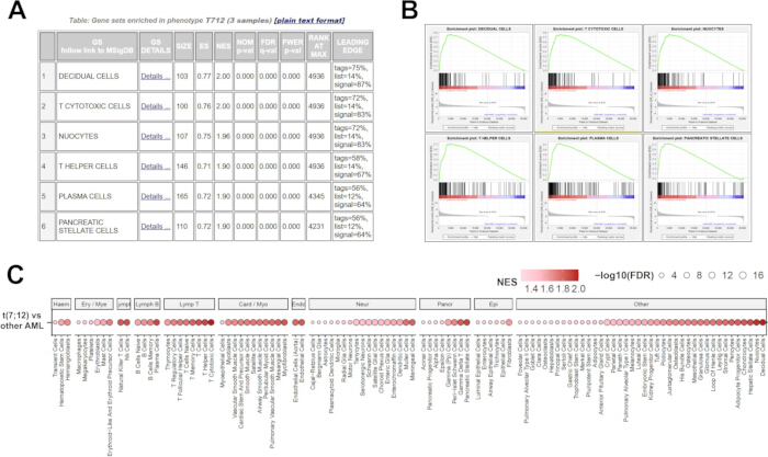 figure-results-2 Gene set enrichment analysis; table, graphs, heatmap; phenotypes, cell types, NES, significance.