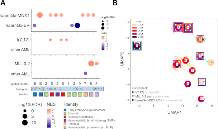 figure-results-3 Gene expression analysis; bubble chart, UMAP plot; hematopoietic lineage study; enrichment, clustering.