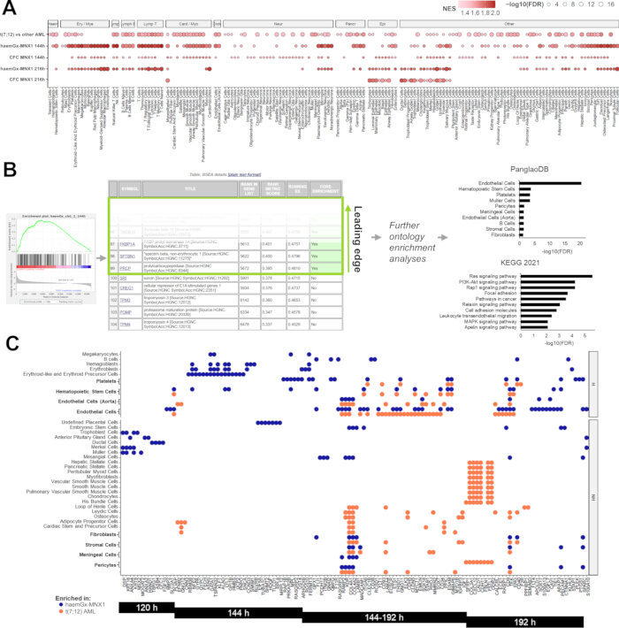 figure-results-4 Gene expression enrichment analysis; diagrams, graphs, and tables; ontology and data analysis results.