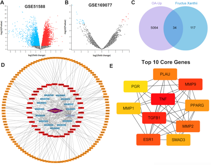 figure-results-1 Gene expression analysis; diagrams and network charts; data visualization for core gene interactions.