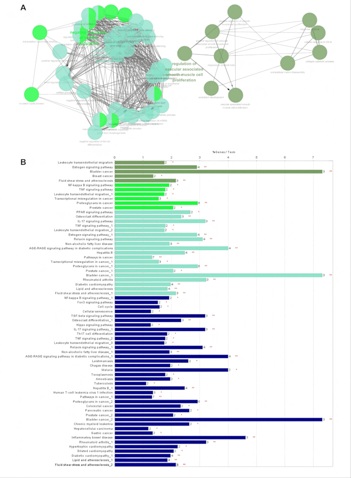 figure-results-2 Gene ontology network diagram and bar chart; gene expression analysis; biological pathway mapping.