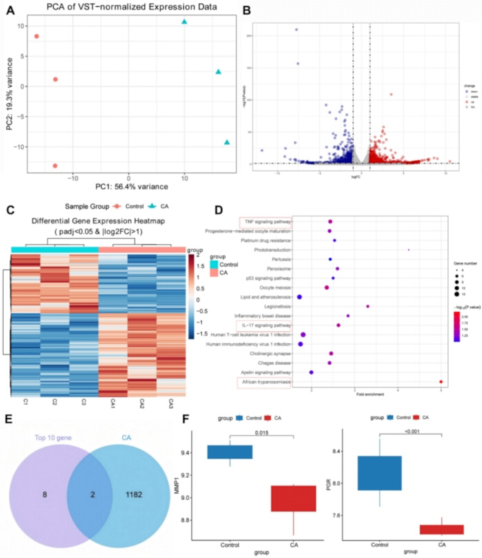 figure-results-5 PCA, volcano plot, heatmap, pathways, Venn, box plots of gene expression, VST data analysis.