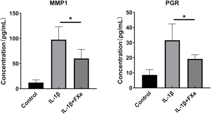 figure-results-6 Bar chart comparing MMP1 and PGR concentration under control, IL-1β, and IL-1β+FXe conditions.
