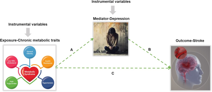 figure-results-1 Chronic metabolic traits mediation analysis diagram; depression's effect on stroke risk via instrumental variables.