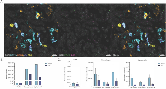 figure-results-2 Confocal microscopy image with immune markers, histograms comparing immune cell populations in tissues.