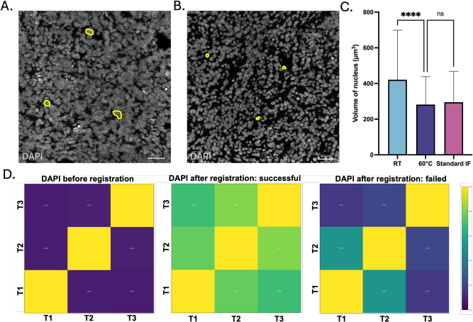 figure-results-3 DAPI staining analysis with nucleus volume chart and heat maps; microscopy, statistical comparison.