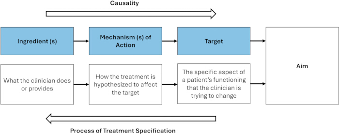 Treatment process diagram; mechanism of action, target, aim specification; causal relationship.