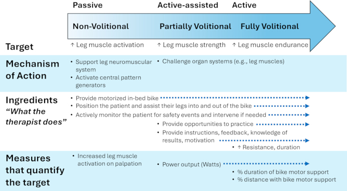 Leg exercise therapy diagram; stages from passive to active; muscle activation, strength, endurance.