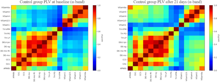 figure-results-3 Control group PLV matrices, α-band connectivity; heatmaps at baseline and after 21 days; neuroscience.